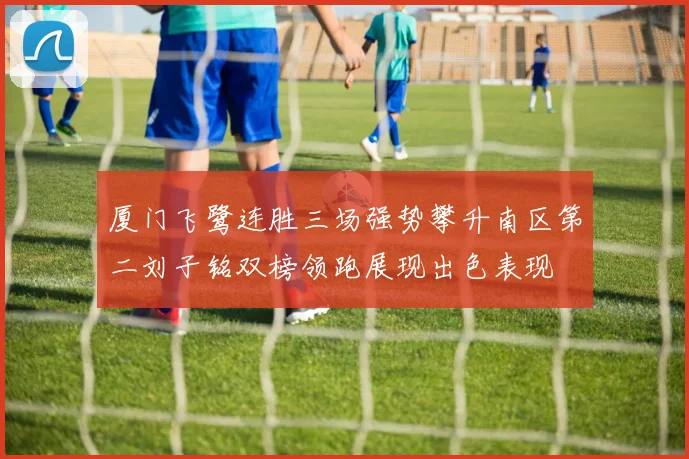 厦门飞鹭连胜三场强势攀升南区第二刘子铭双榜领跑展现出色表现